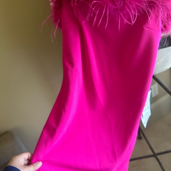 Hot Pink Dress - Picture 2 of 5